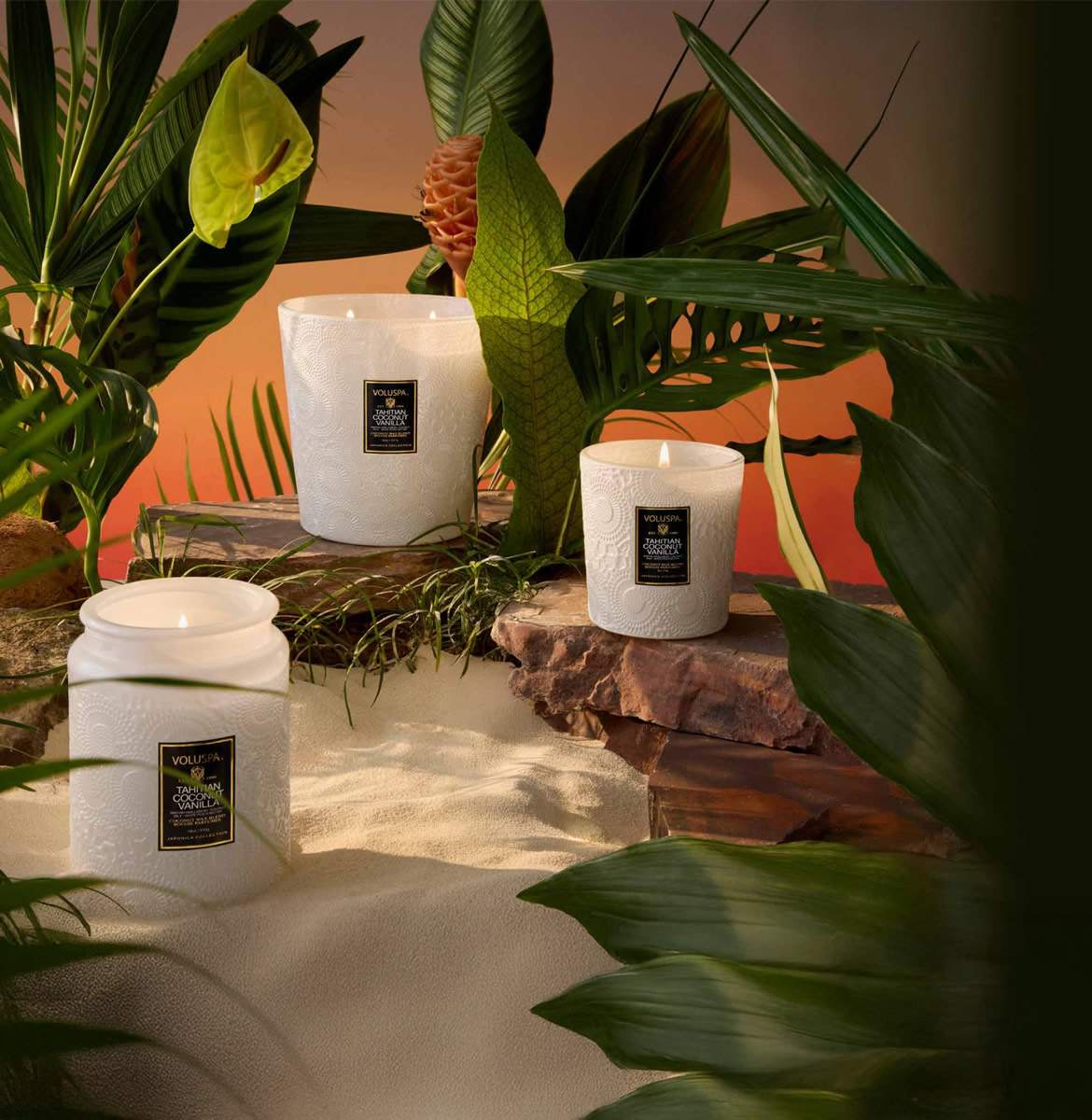 Tahitian Coconut Vanilla: Um Paraíso Pessoal na Nova Fragrância da Voluspa