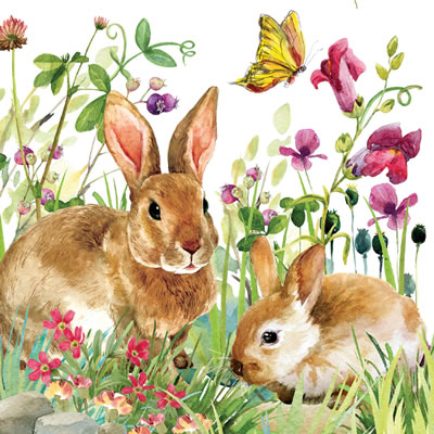 BUNNY MEADOW